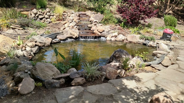 Images Paz Landscape