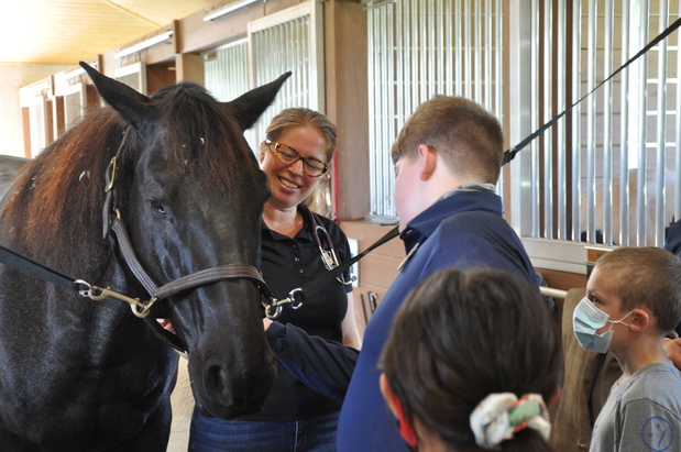 Images Palm Beach Equine Clinic