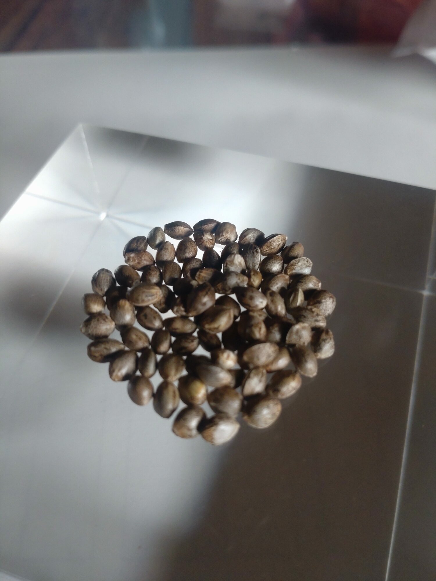 PURPLE GROWS Cannabis, CBD und THC-Seeds in Delbrück