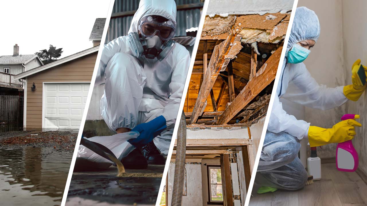 Miami Disaster Restoration Pro announces the opening of its Miami office located at 1840 Coral Way, Suite 308, Miami, Florida 33145.