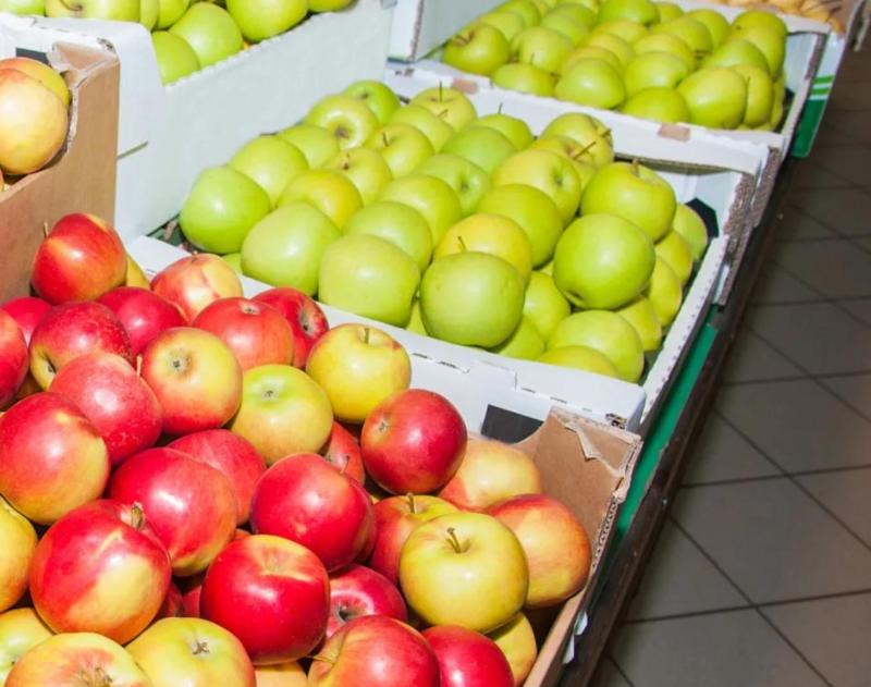 Images Vagnoli Fratelli