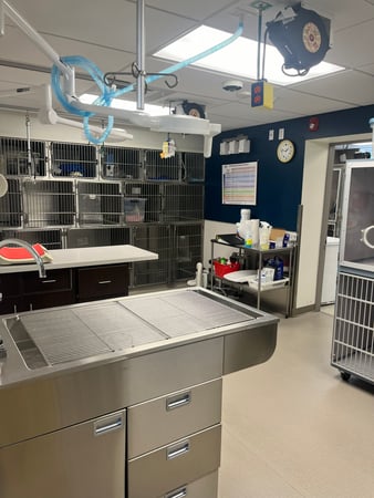 Images VCA Castle Shannon Animal Hospital