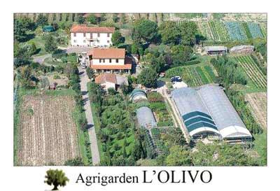 Images Agrigarden L'Olivo