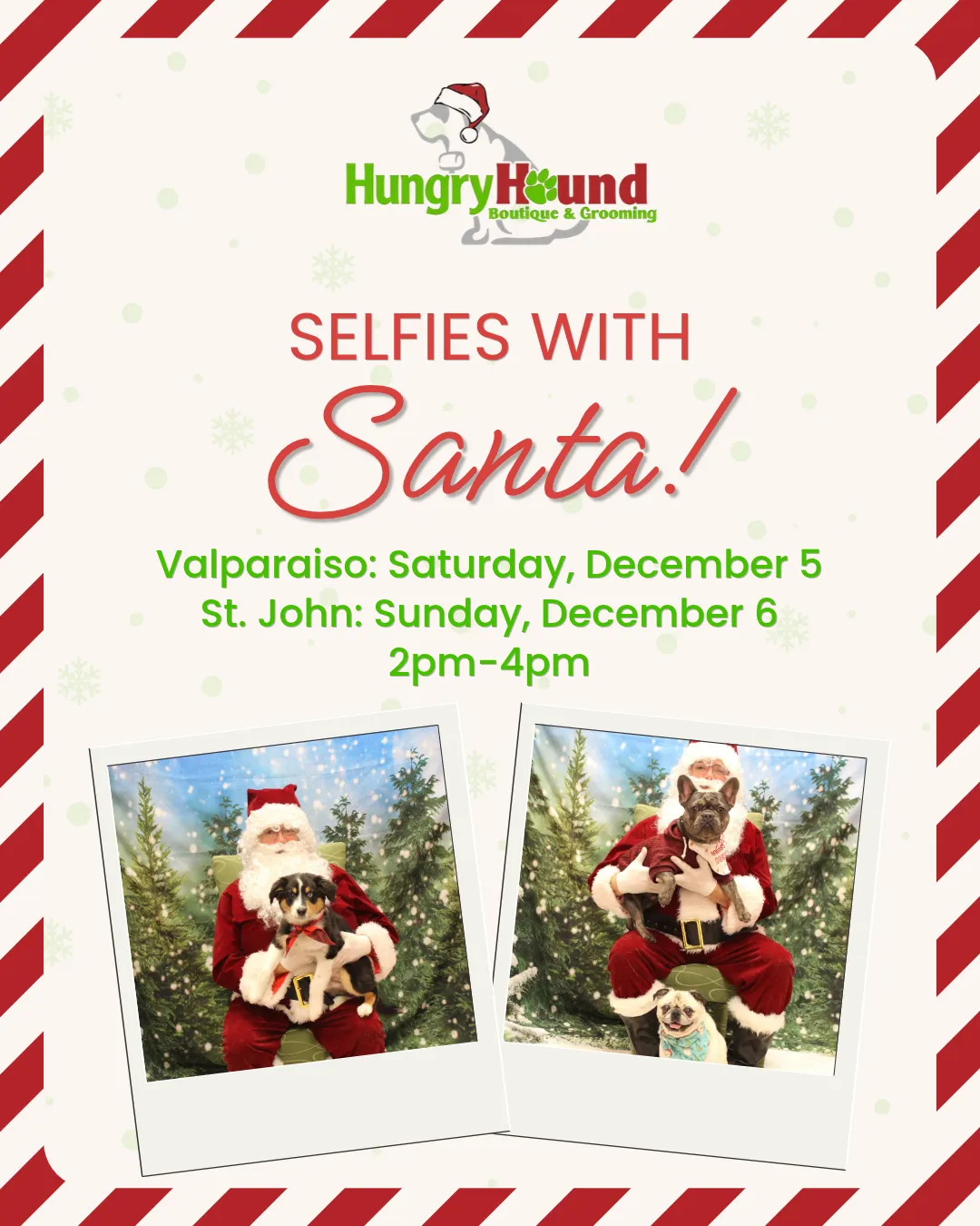 Image of Local Pet Event Selfies with Santa at Hungry Hound Nearby