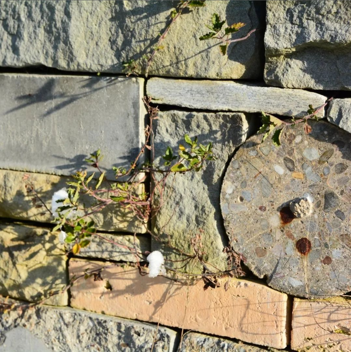 Bilder Artenreich Bolinger Gärten AG