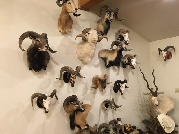 Images 4 Amigos Ranch