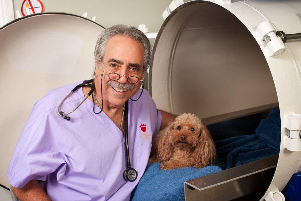 Calusa Veterinary Center is one of the first animal hospitals in the nation to offer Hyperbaric Oxygen Therapy among its extensive collection of rehabilitative therapies.
