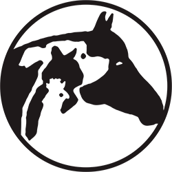 Clarkesville Veterinary Hospital Logo