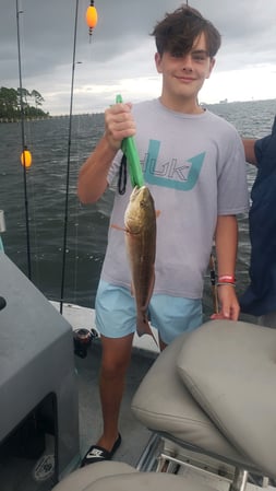 Images E-6 INSHORE FISHING ADVENTURES, LLC