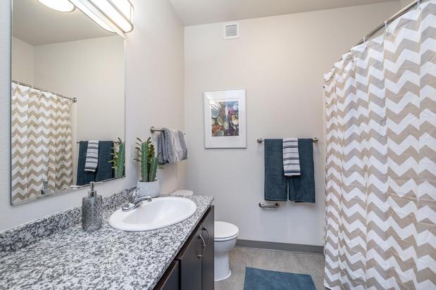 Images The Patterson Social Apartments