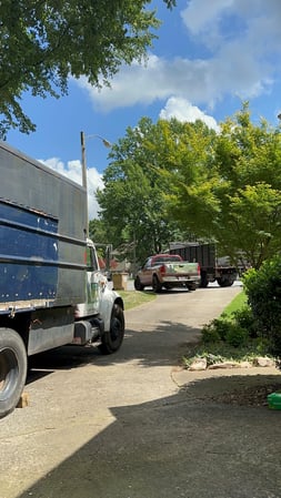 Images Lopez Tree Services and Landscaping