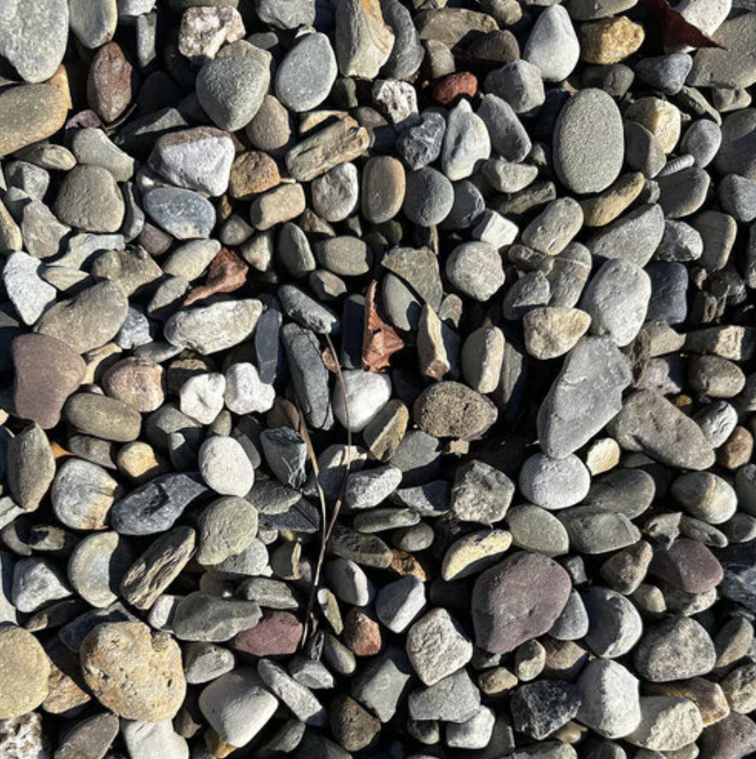 River Rock Pennsylvania Blend 3/4 in. Bulk. (used to be called Delaware River Rock). Promotes excellent water drainage, reducing runoff.
Ideal for various landscaping projects and applications.
Requires minimal upkeep compared to other materials.
If you are looking for a River Rock with color this may be the one for you. The colors varies from Grey, white, green, red and brown. Round smooth edges. These river rocks offer a blend of sophistication and durability, perfect for landscaping, pathways, and creative accents.