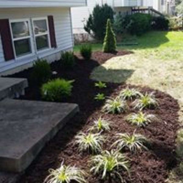 Images S & T Landscaping & Irrigation, LLC