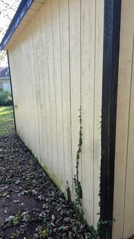 Images NewLook Home Solutions