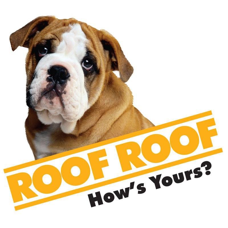 Roof Roof Charlotte Logo