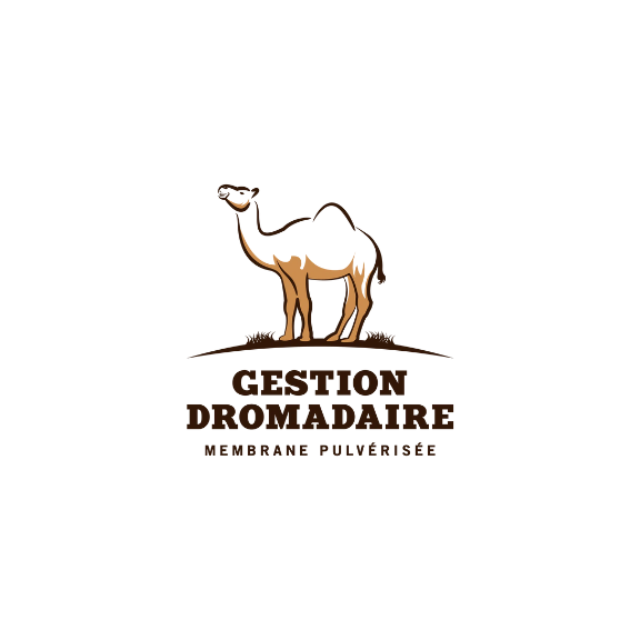 Gestion Dromadaire Inc