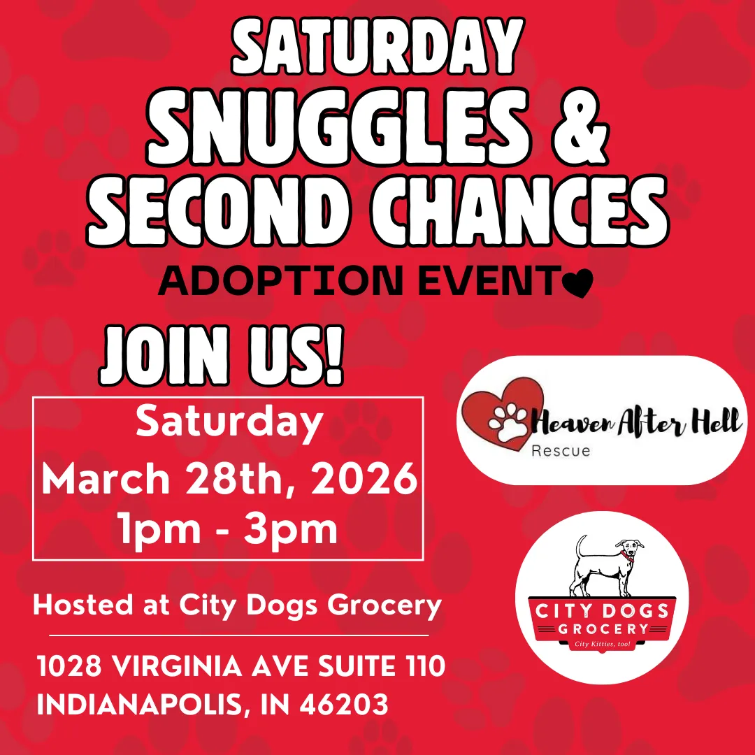 Image of Local Pet Event Saturday Snuggles & Second Chances Nearby