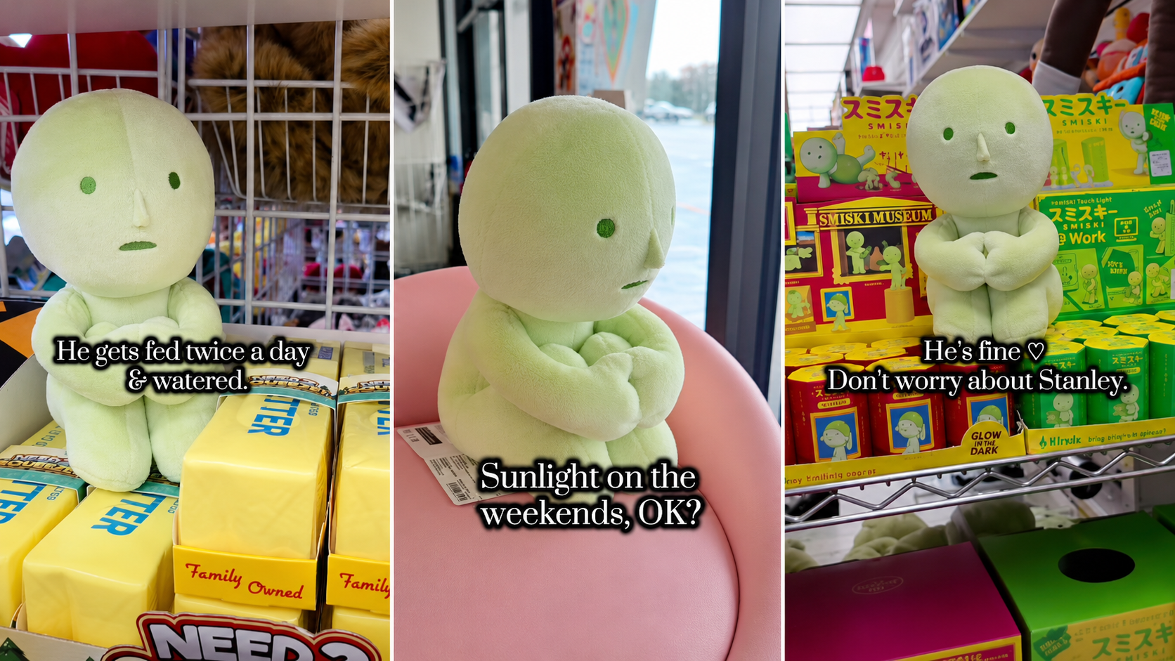 Stanley the green Smiski plush is happy and thriving at Timbuk Toys, posing among colorful Smiski co 