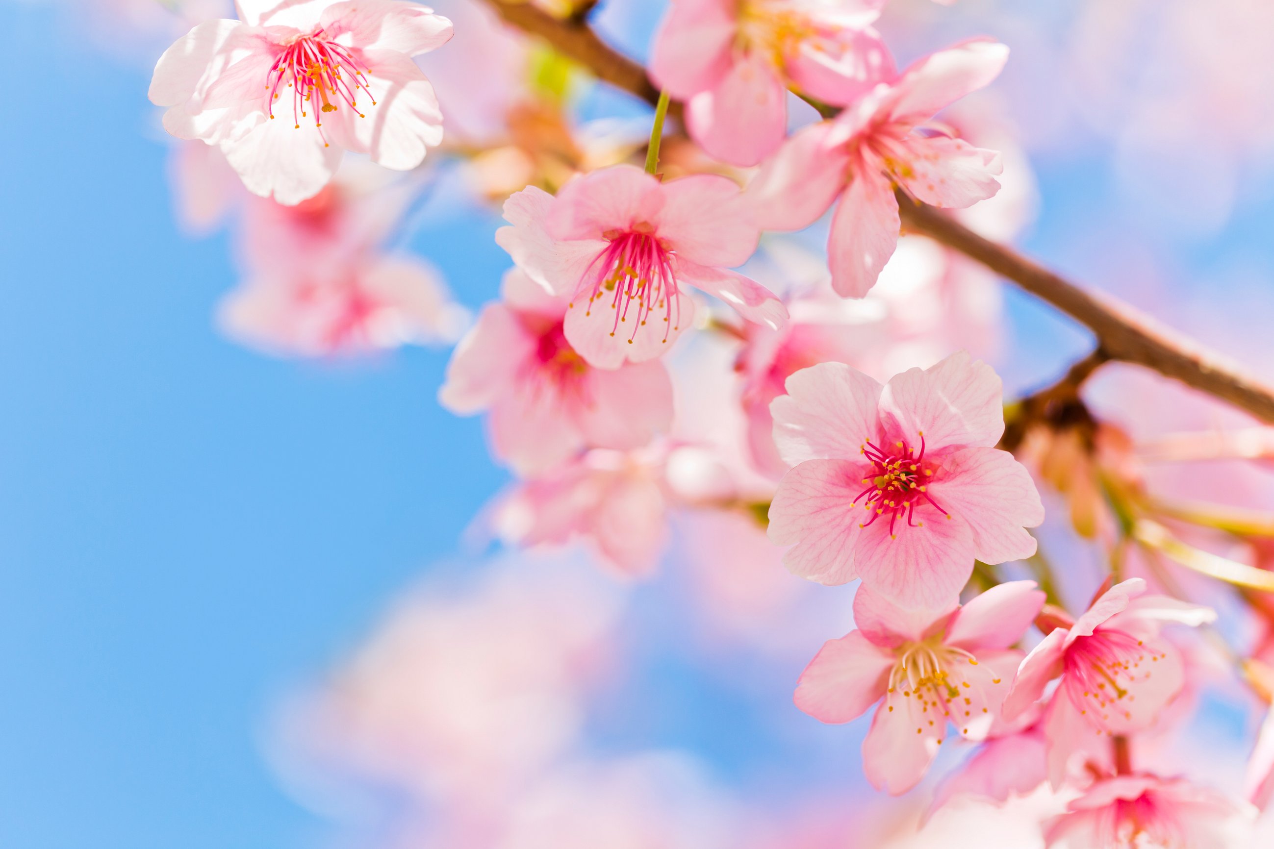 excellent moments, Freienhofgasse 17 in Thun