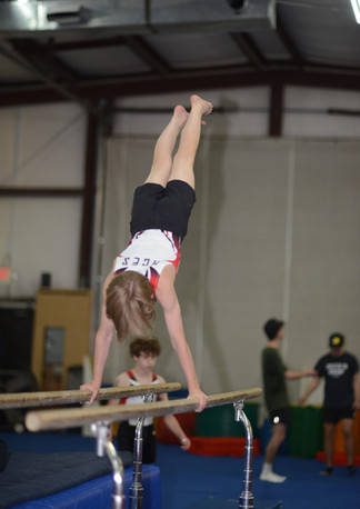 arkansas gymnastics