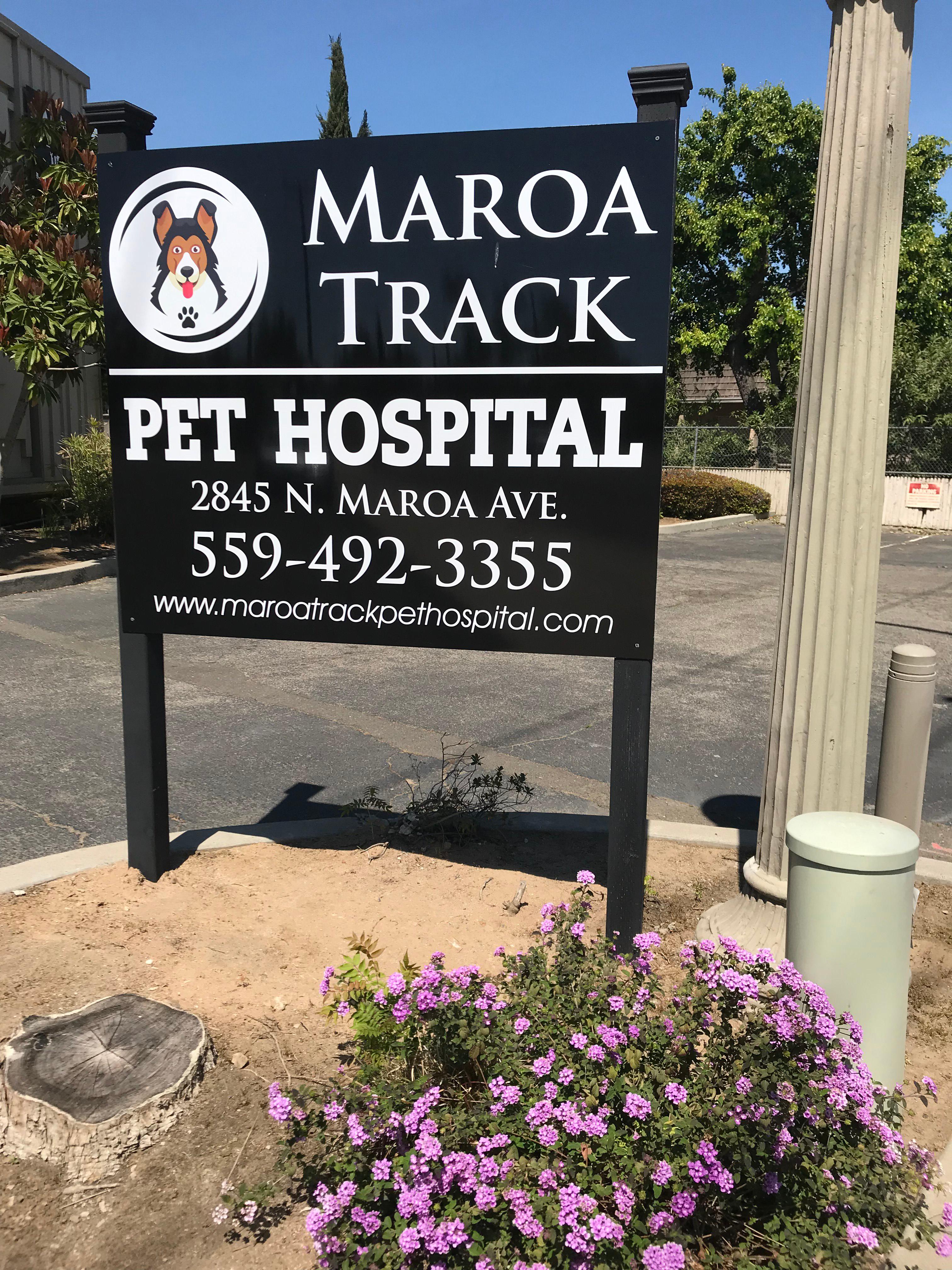 Image 2 | Maroa Track Pet Hospital