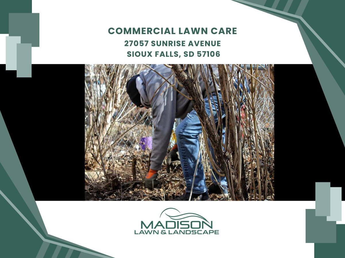 commercial lawn care