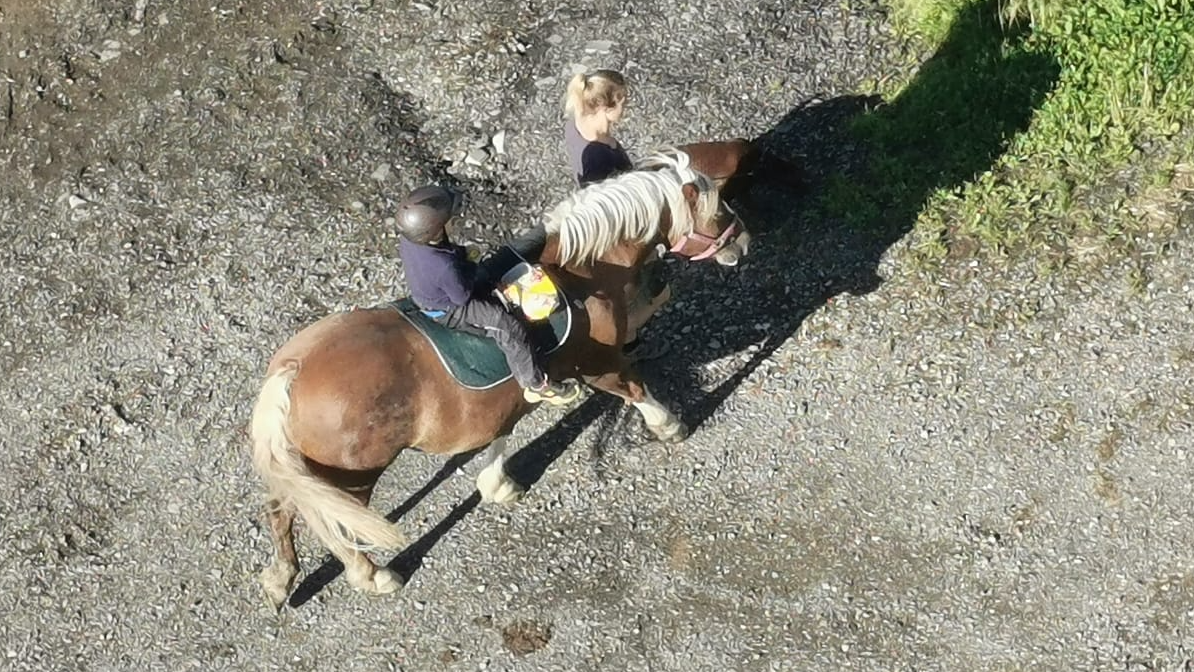 Reittherapie- Heilpädgogisches Arbeiten mit Pferd und Hund in Lindlar - Logo