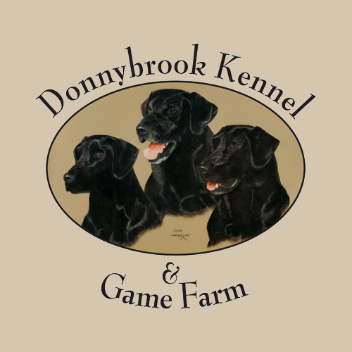 Donnybrook Kennel And Inn Logo