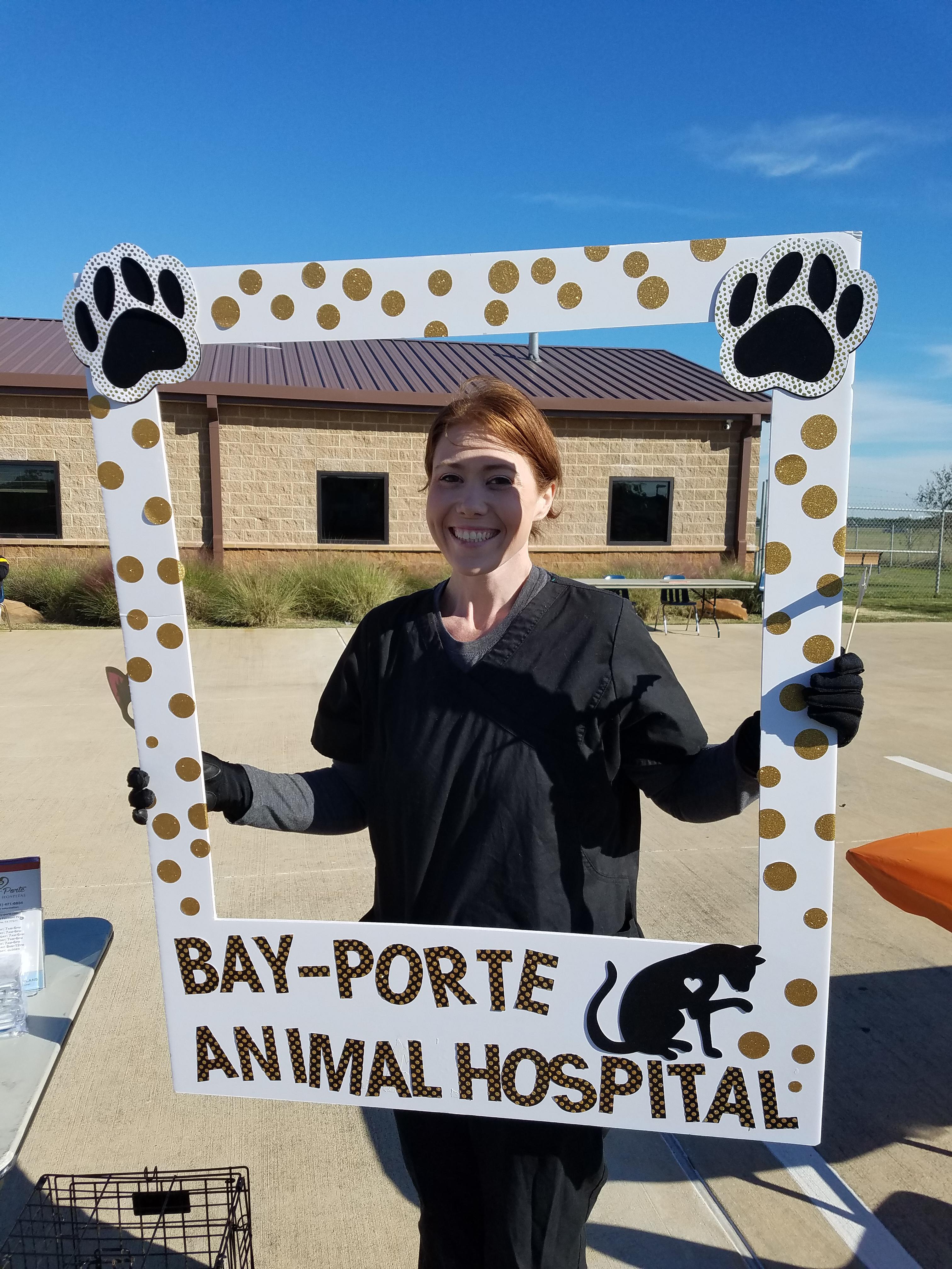Image 5 | Bay-Porte Animal Hospital
