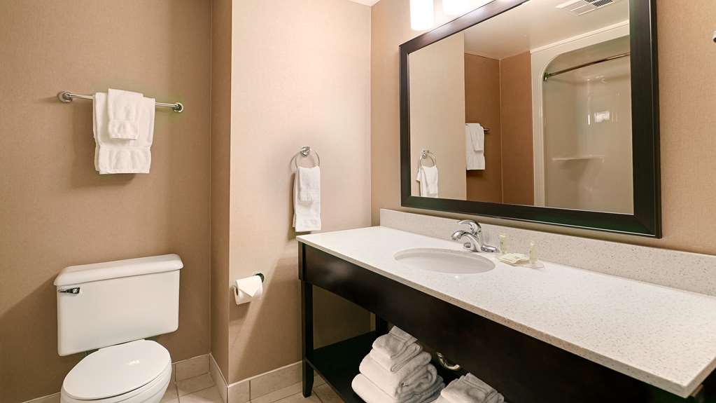 Images Best Western Swan Castle Inn