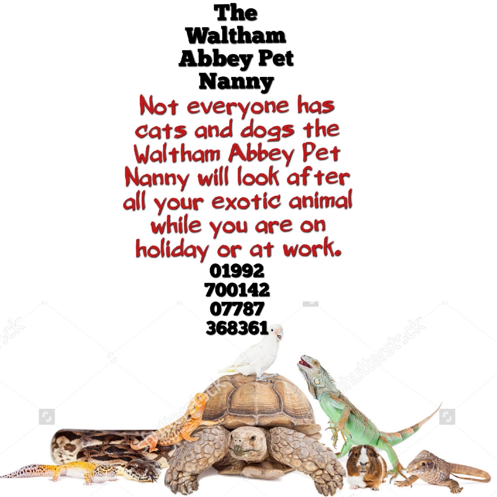 Images The Waltham Abbey Pet Nanny