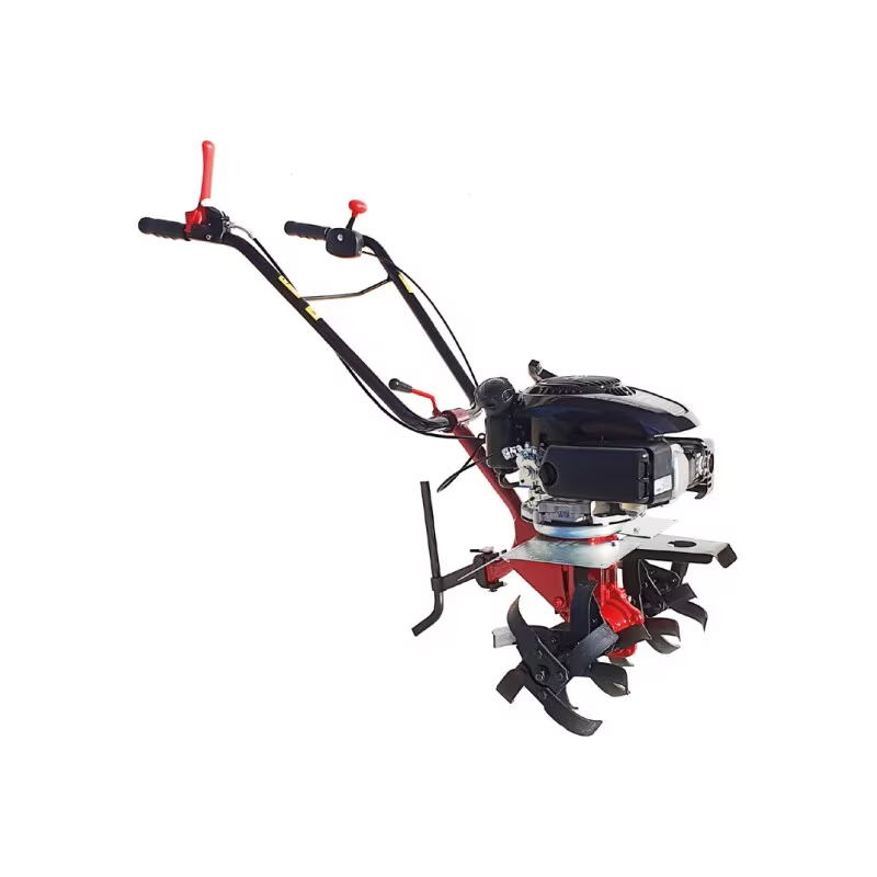 Images Sz Italia By Sicil Zappa