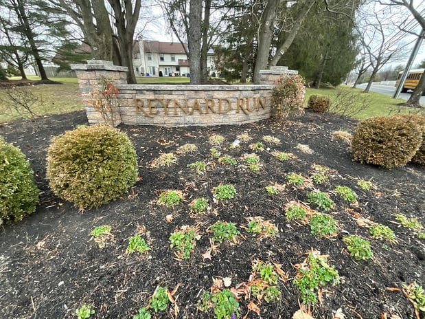 Images TermiGuard Services & Fenwick