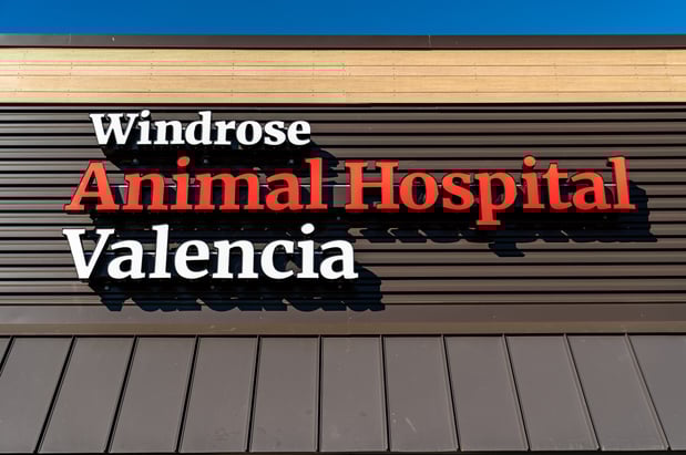 Images Windrose Animal Hospital Valencia