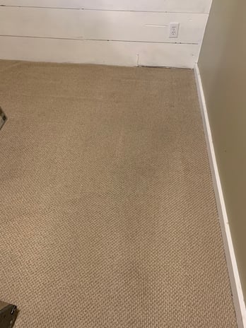 Images Elite Green Carpet Cleaning