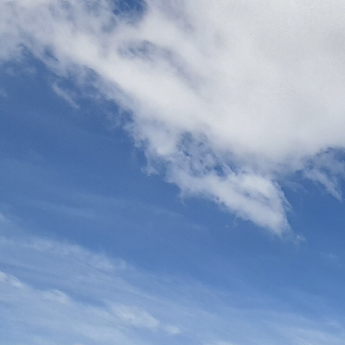 Images MM Roof Cleaning Services (MMRCS)