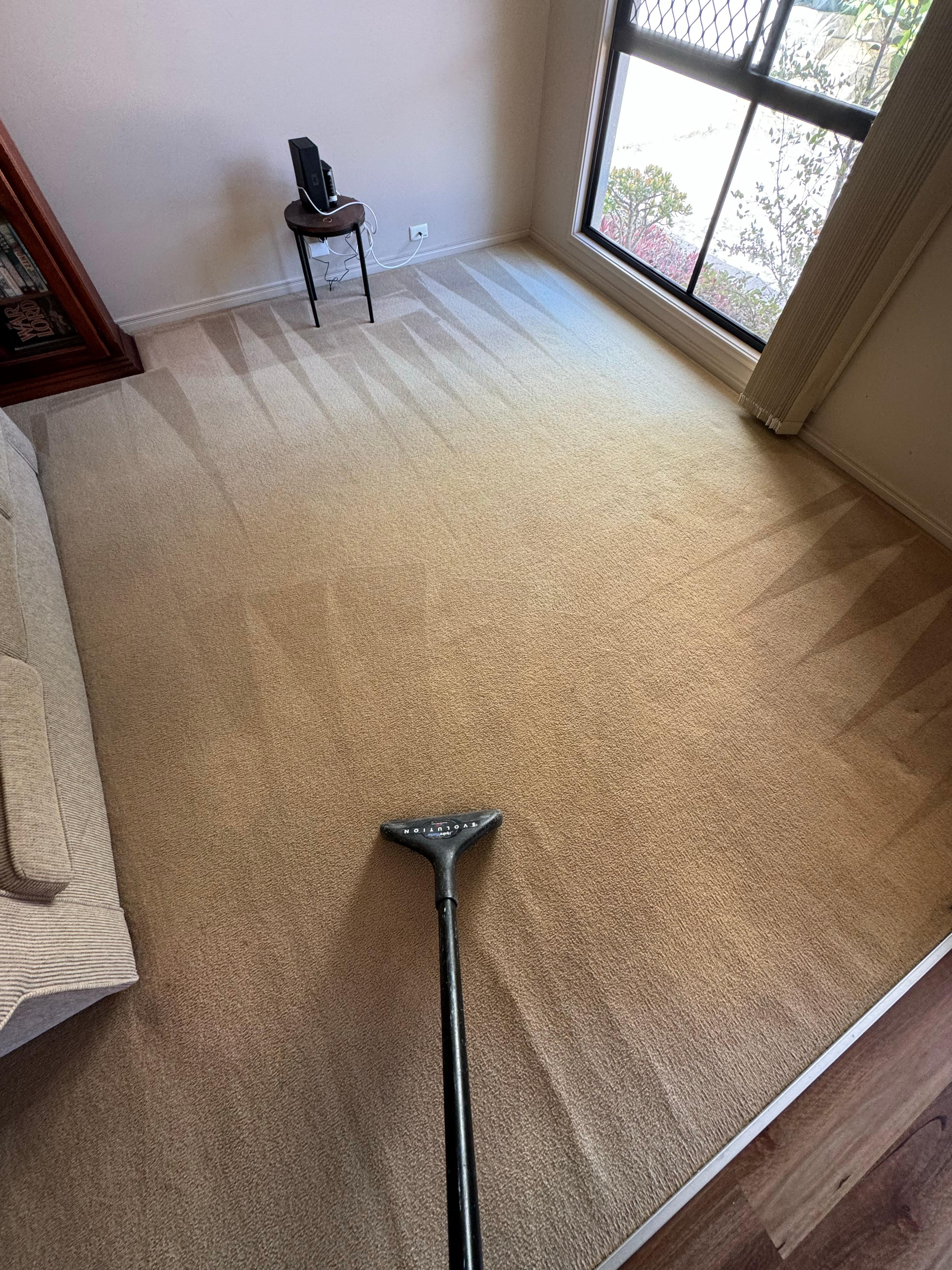Images Eco Carpet Cleaning Gold Coast