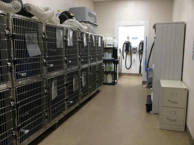 Images Petco