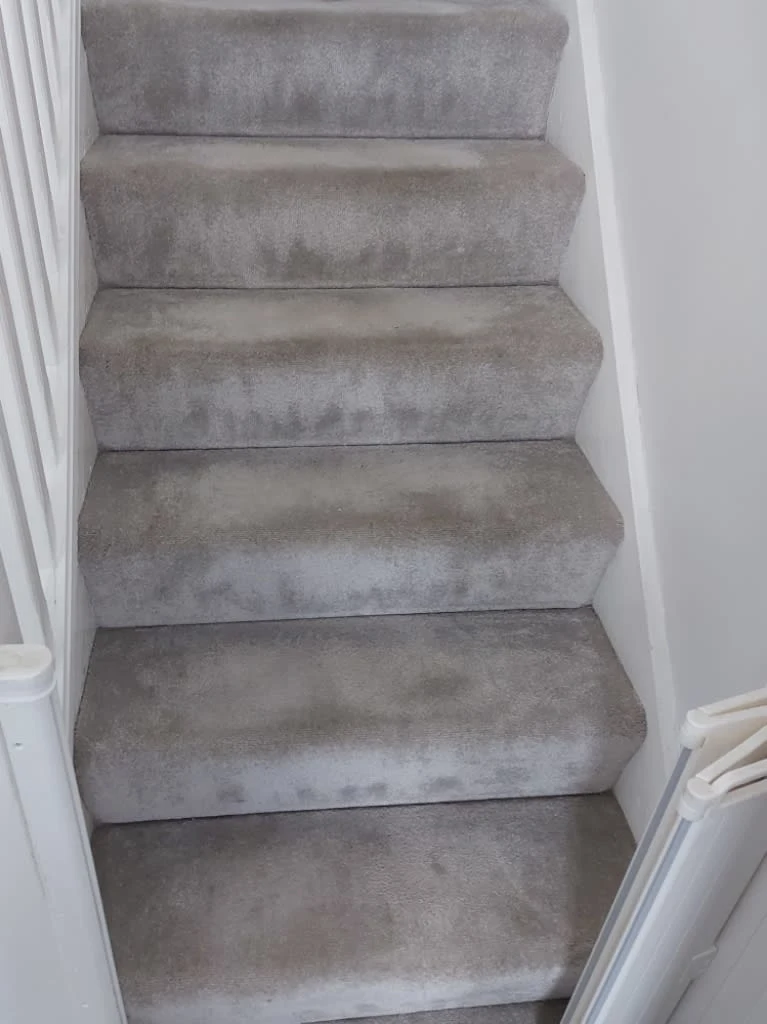 Images Titanium Cleaning