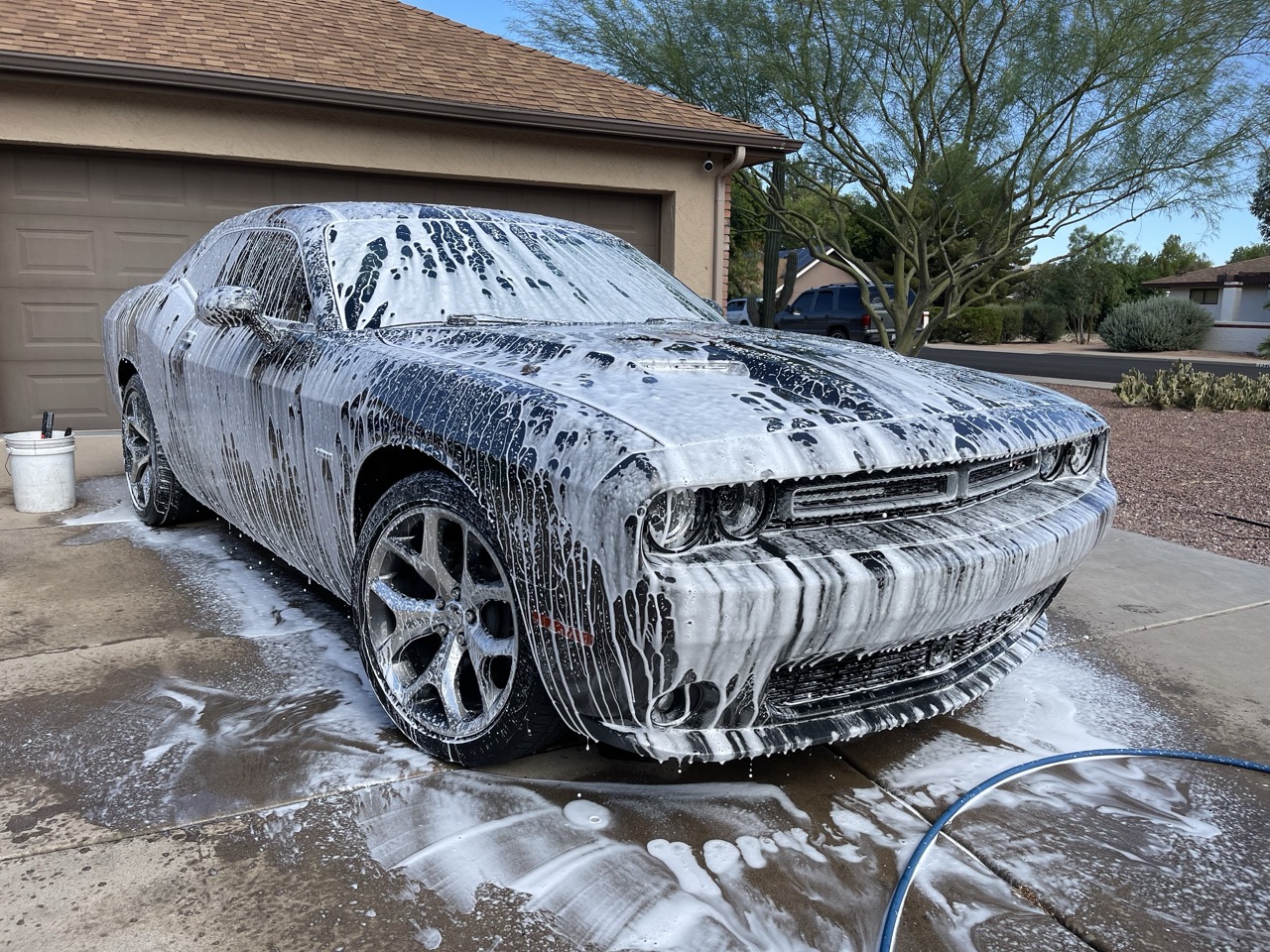 Car Detailing
Mesa