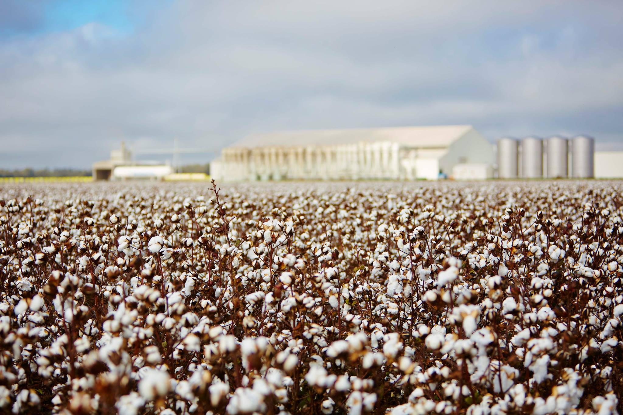 Images Murrumbidgee Council