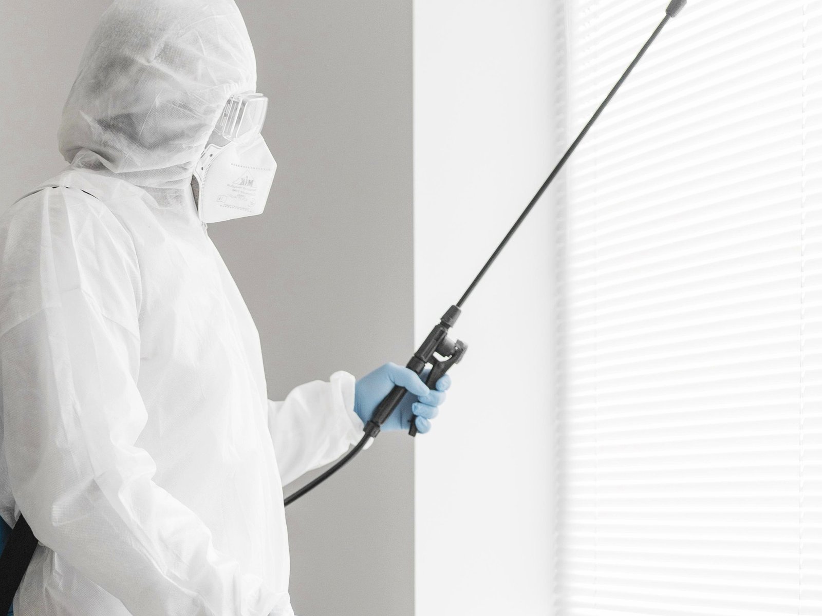 Payless Pest Control