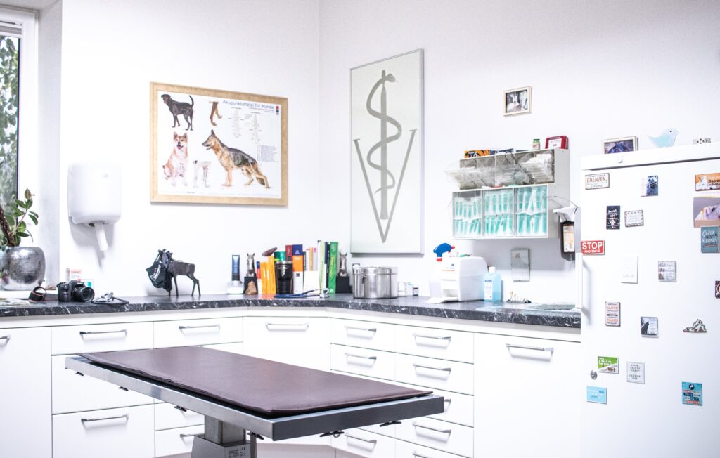 Bild 1 von Tierarztpraxis Kim-Dorn GmbH