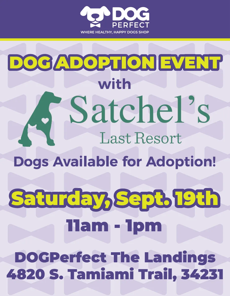 Image of Local Pet Event Adoption Event with Satchels Last Resort! Nearby