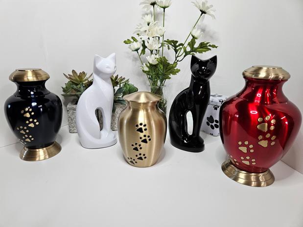 Images Tranquil Tides Pet Aquamation - Springfield Pet Cremation