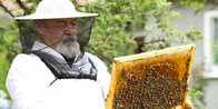 WE CARE ABOUT BEES AND PERFORM HUMANE BEE REMOVAL FOR THEIR BENEFIT. WE CARE ABOUT BEES AND PERFORM HUMANE BEE REMOVAL FOR THEIR BENEFIT.