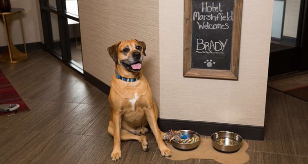 Images Hotel Marshfield, BW Premier Collection