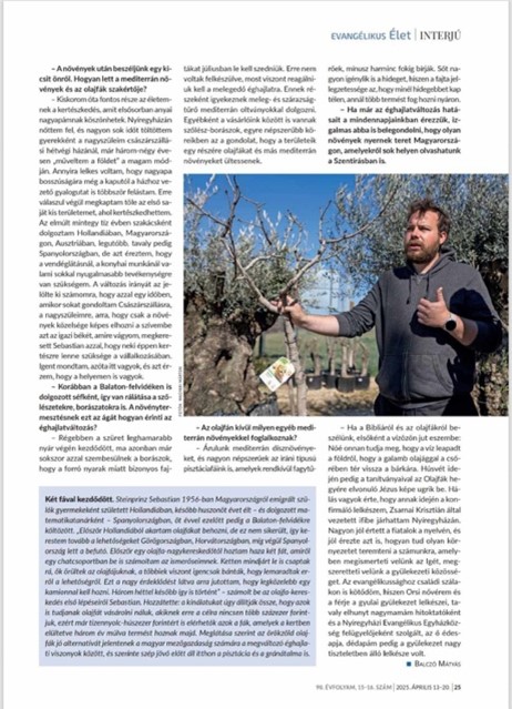 Images Terra Hungary - Olive trees and more