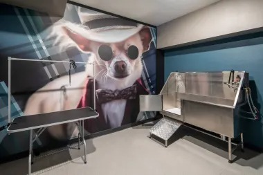 Pet Wash Room 