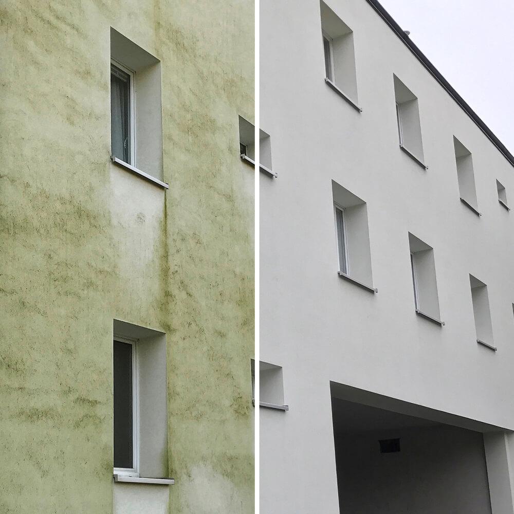 Bild 3 von Algenmax Fassadenreinigung
